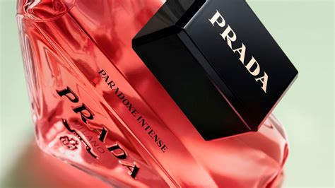 prada paradoxe brasil